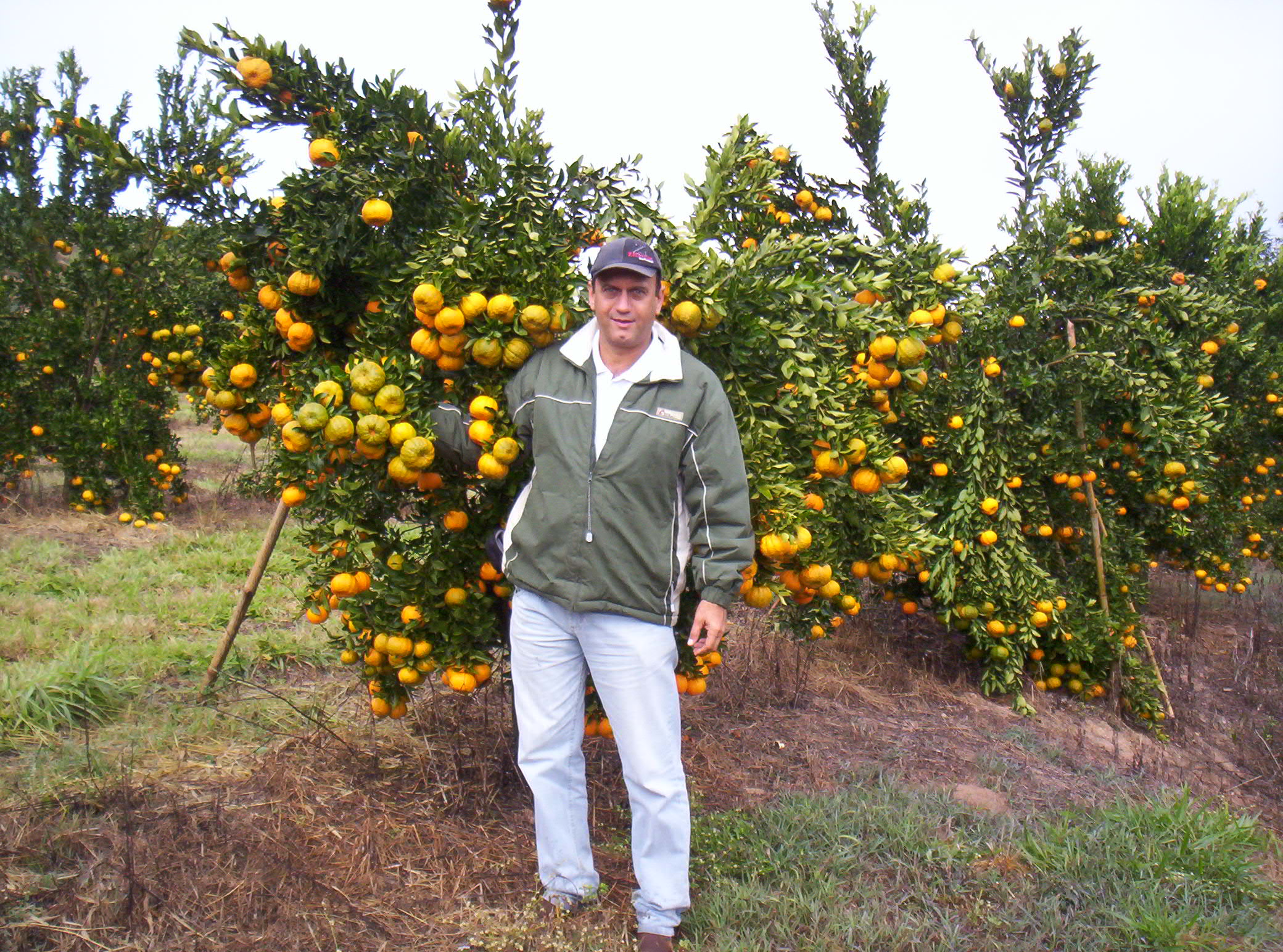Antonio Walter Alvarenga Pereira